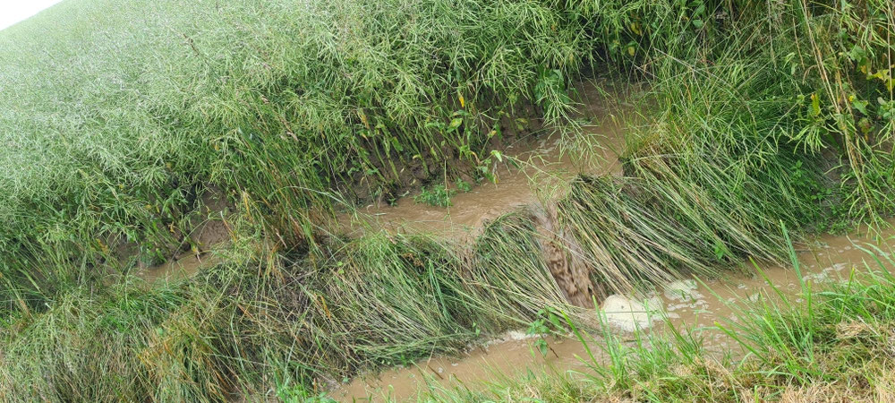Kurz vor dem Überlaufen