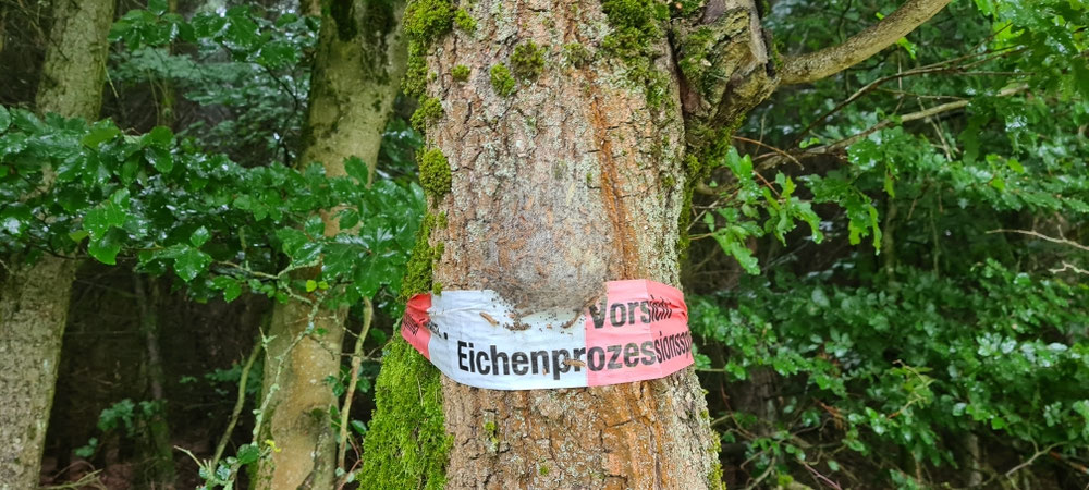 Dieser lästige Spinner