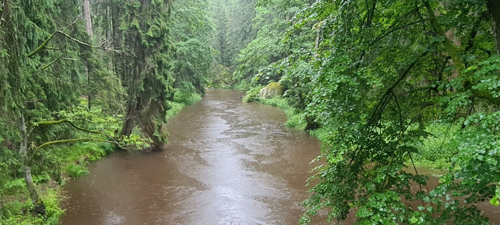 Das Waldnaabtal war gigantisch...voll mit Wasser 
