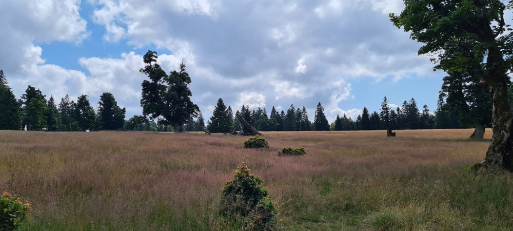 Schachten