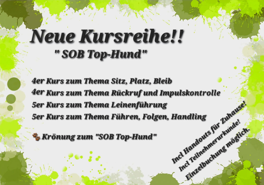 Grunderziehung "SOB Top Hund"