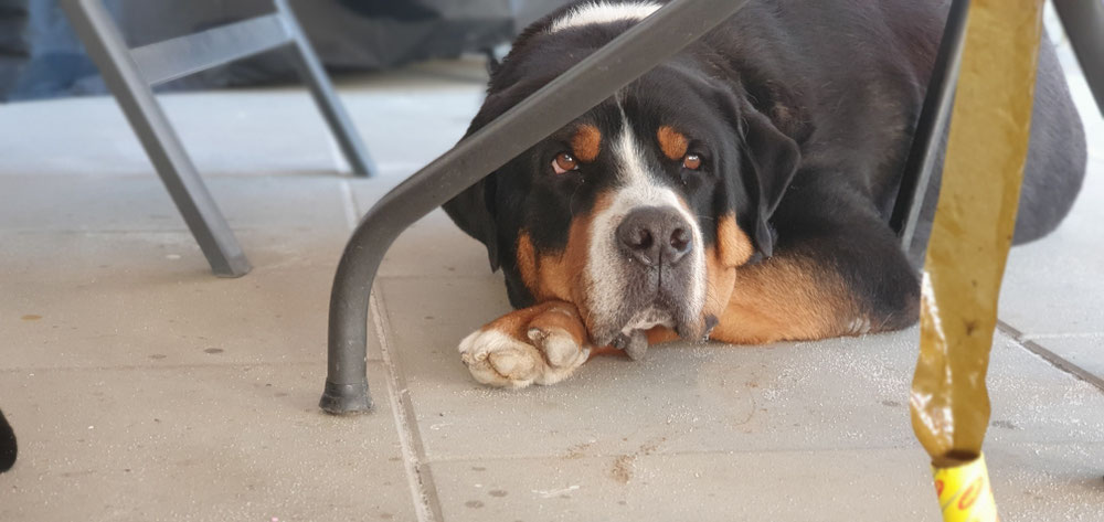 Astro 