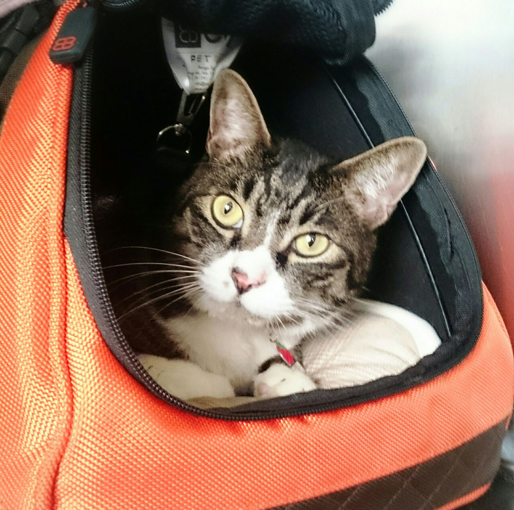 ん??お部屋間違えてますよ!?