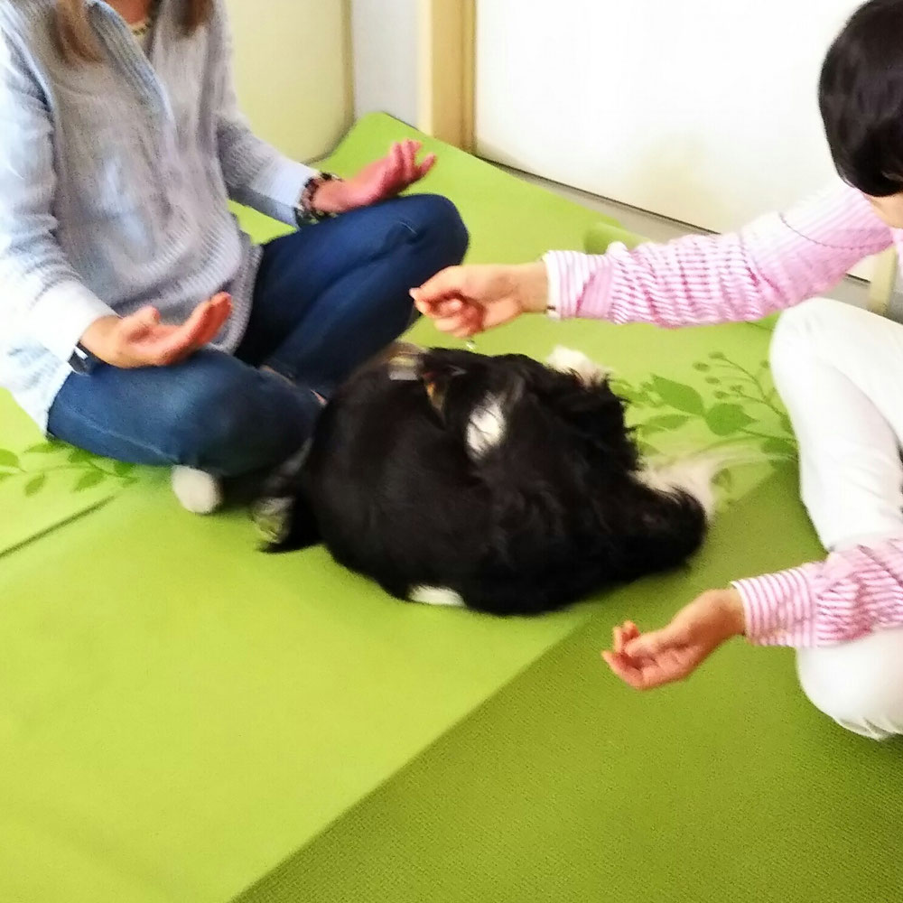 チャクラチェック中