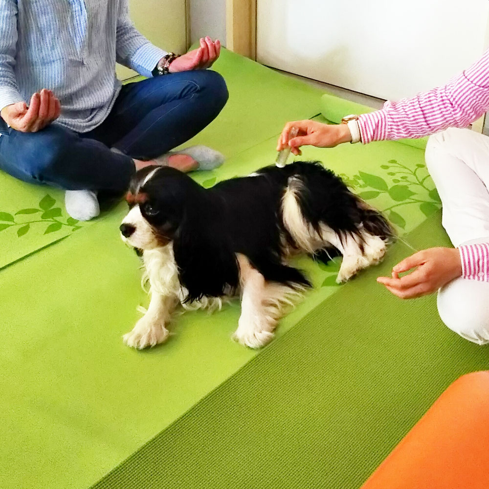 落ち着いてきました