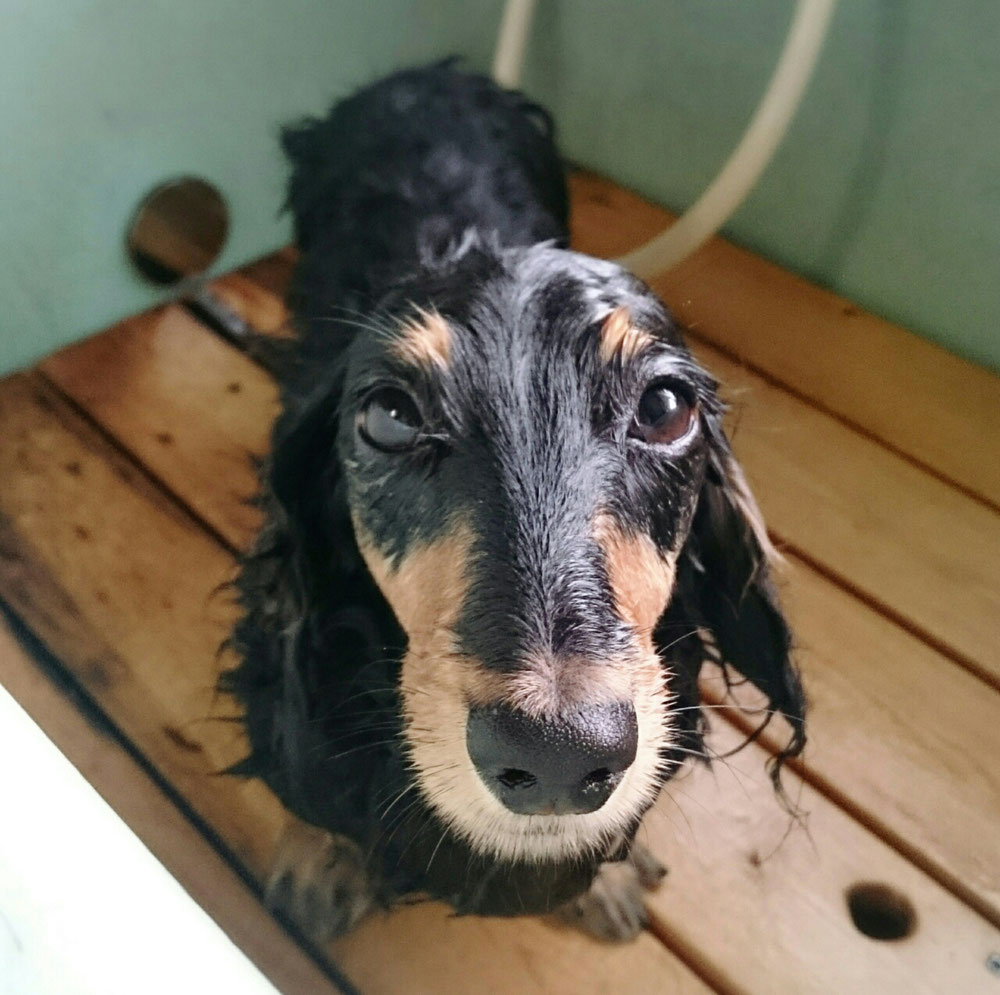 ちょっと細くなってます