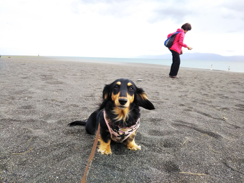 後ろにいるのが犬ばぁば