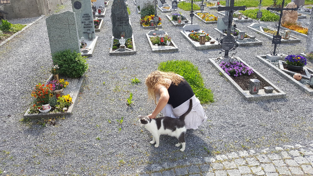Friedhof der Kuscheltiere..... 