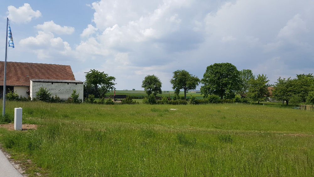 Beim reinzoomen sieht man die Spielweise der Hundepension..... 