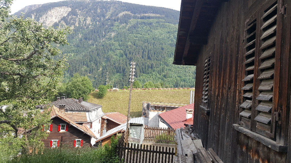 Finde die Kühe...... 