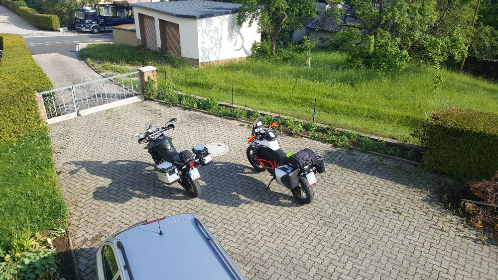 Tiger und Katie warten schon..... :-) 