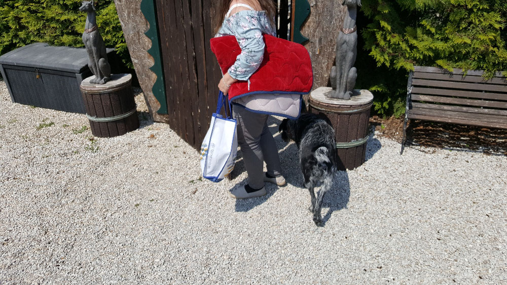 Emma durfte / musste heute in die Pension.....