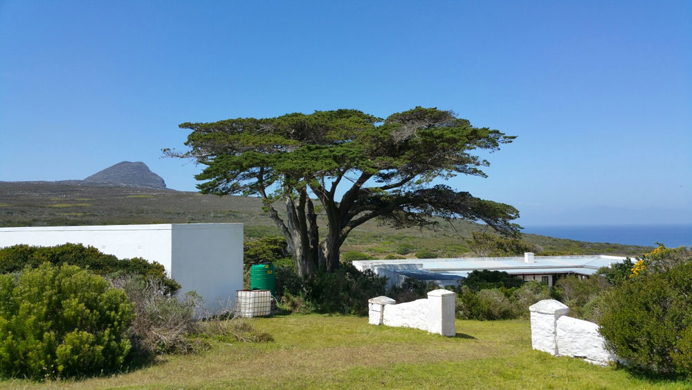 Cape Hope