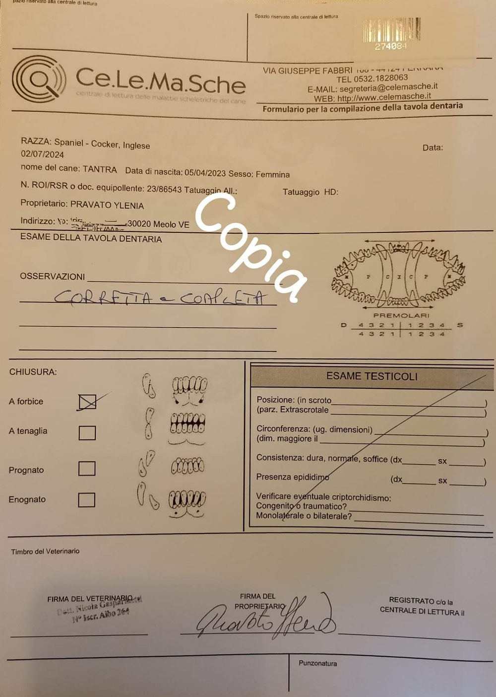 Certificazione denti Tantra