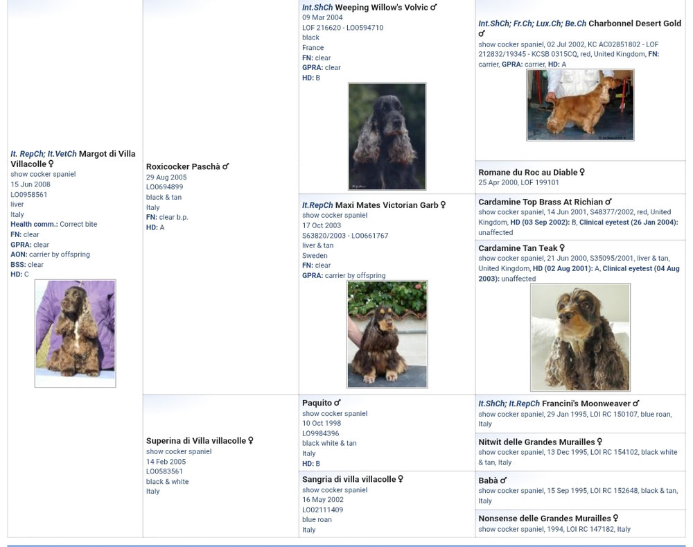 Pedigree mamma Giunone con foto