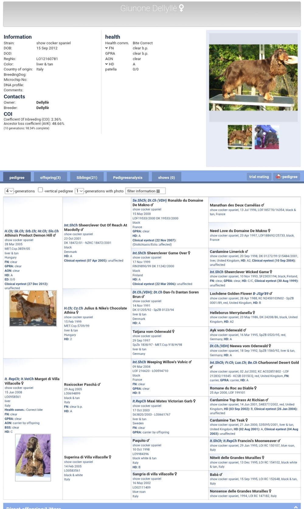 Pedigree Giunone e dati