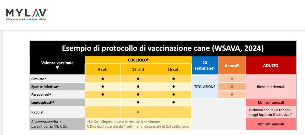 Schema vaccinale wsava 2024