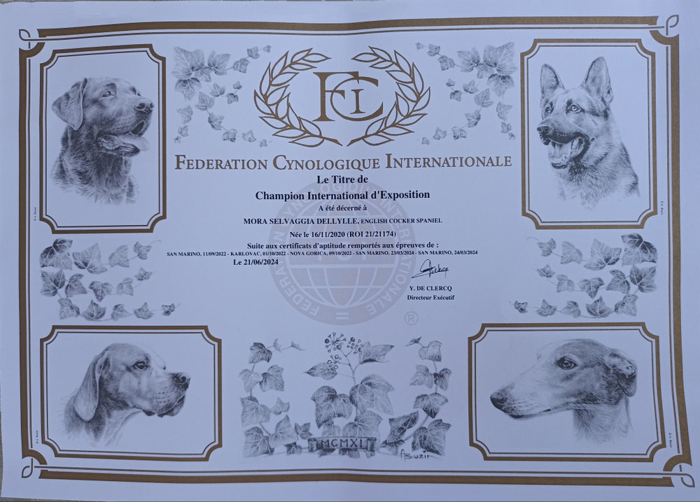 Mora Campionessa Internazionale di Esposizione 