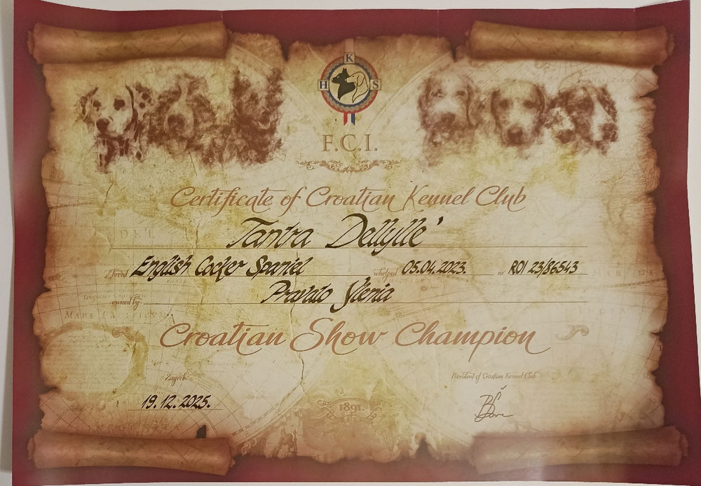 Diploma di Campionessa Croata🏆📜