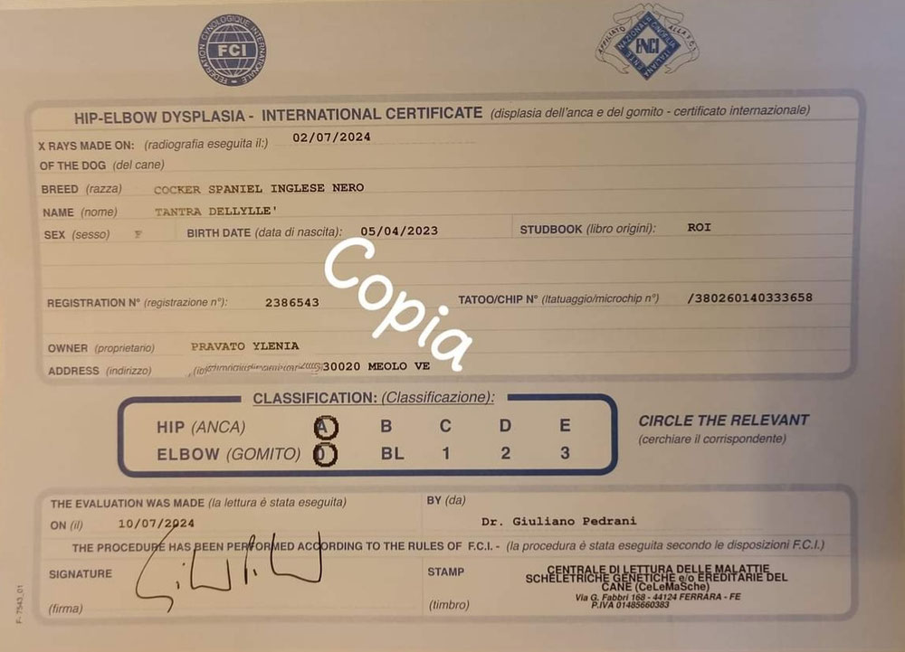 Esito test Displasia Anche e Gomiti
