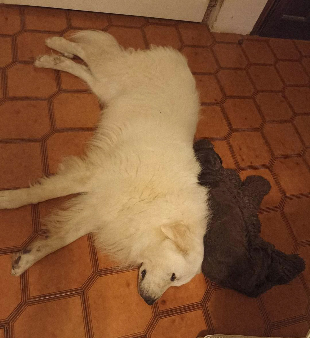 Per proteggerle anche nel sonno
