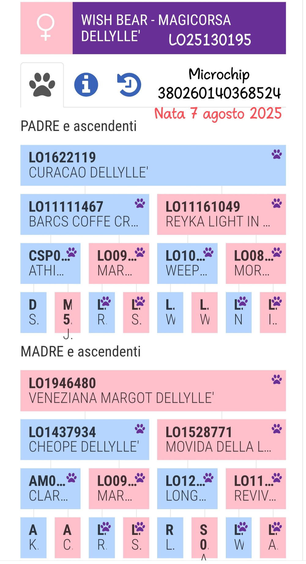 Pedigree dal sito Enci