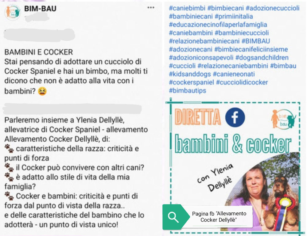 Per chi fosse interessato a qualche informazione in più potete vedere l'intervista su fb, e seguirci nella mia pagina "Ylenia Dellylle' ".                     Premi l'immagine ⬆️e vedi il mio video  ( provvisoriamente non attivo)
