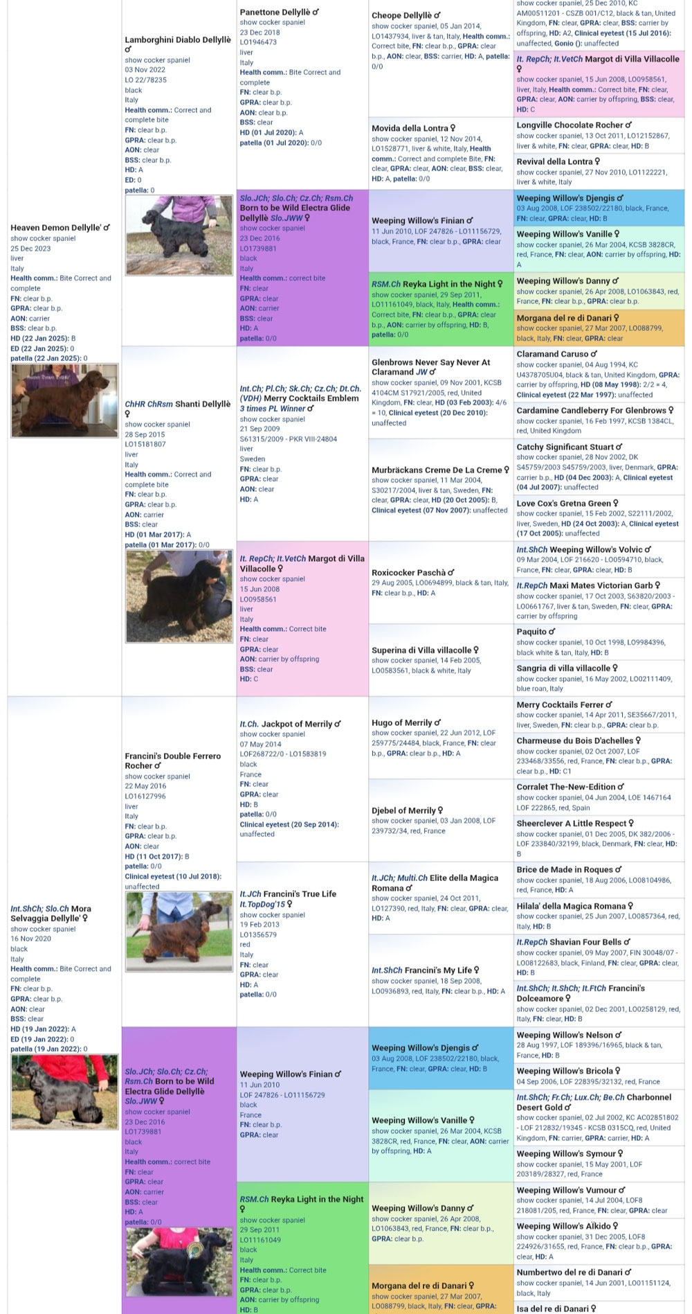 Pedigree virtuale dei cuccioli 