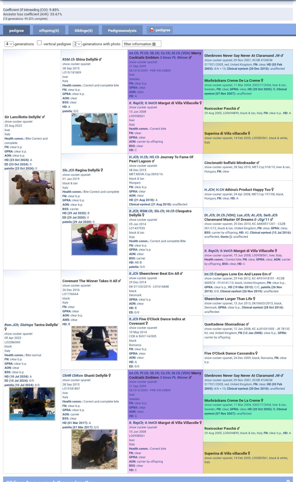 Pedigree virtuale dei cuccioli 