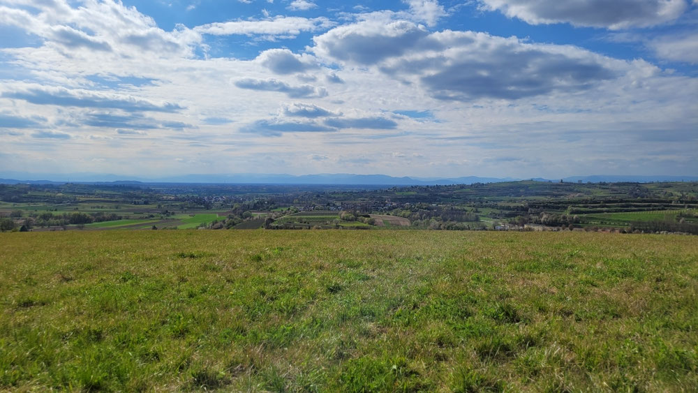 Breisgau - Blick in die Rheinebene