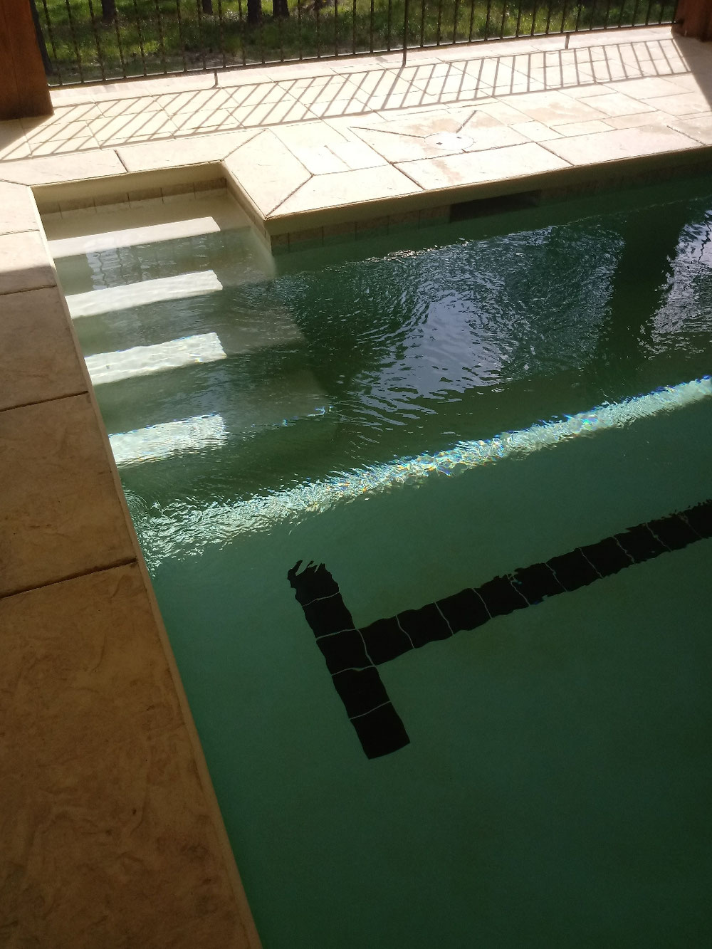 View of GUNITE SWIMMING POOL RENOVATIONS AND CONSTRUCTION - sunsetconstruction