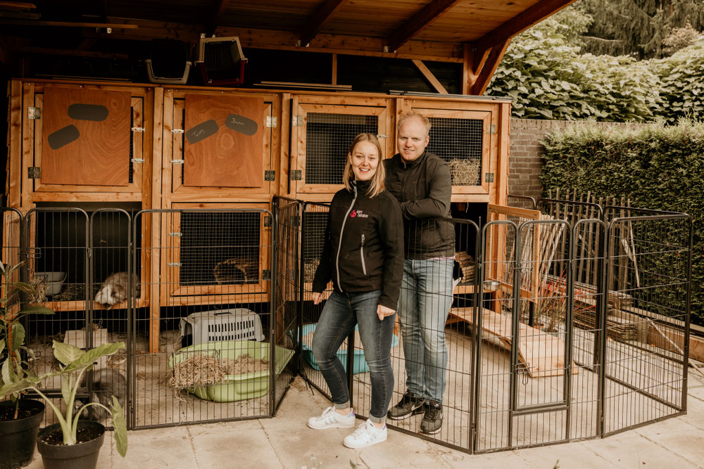Didi's Trimsalon, konijnenhotel van Rick en Didi Janssen gevestigd te Milsbeek (Limburg). Alle konijnenrassen welkom, dwergkonijn of vlaamse reus, iedere konijn is welkom. 