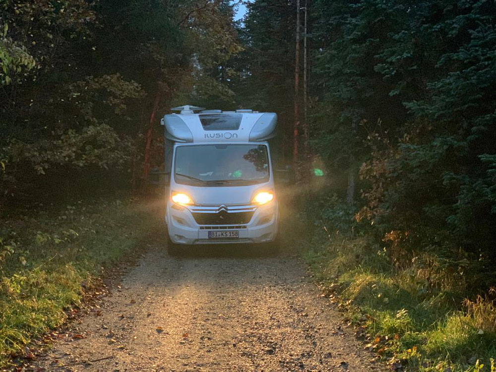 Bei Nebel über eine Waldstraße