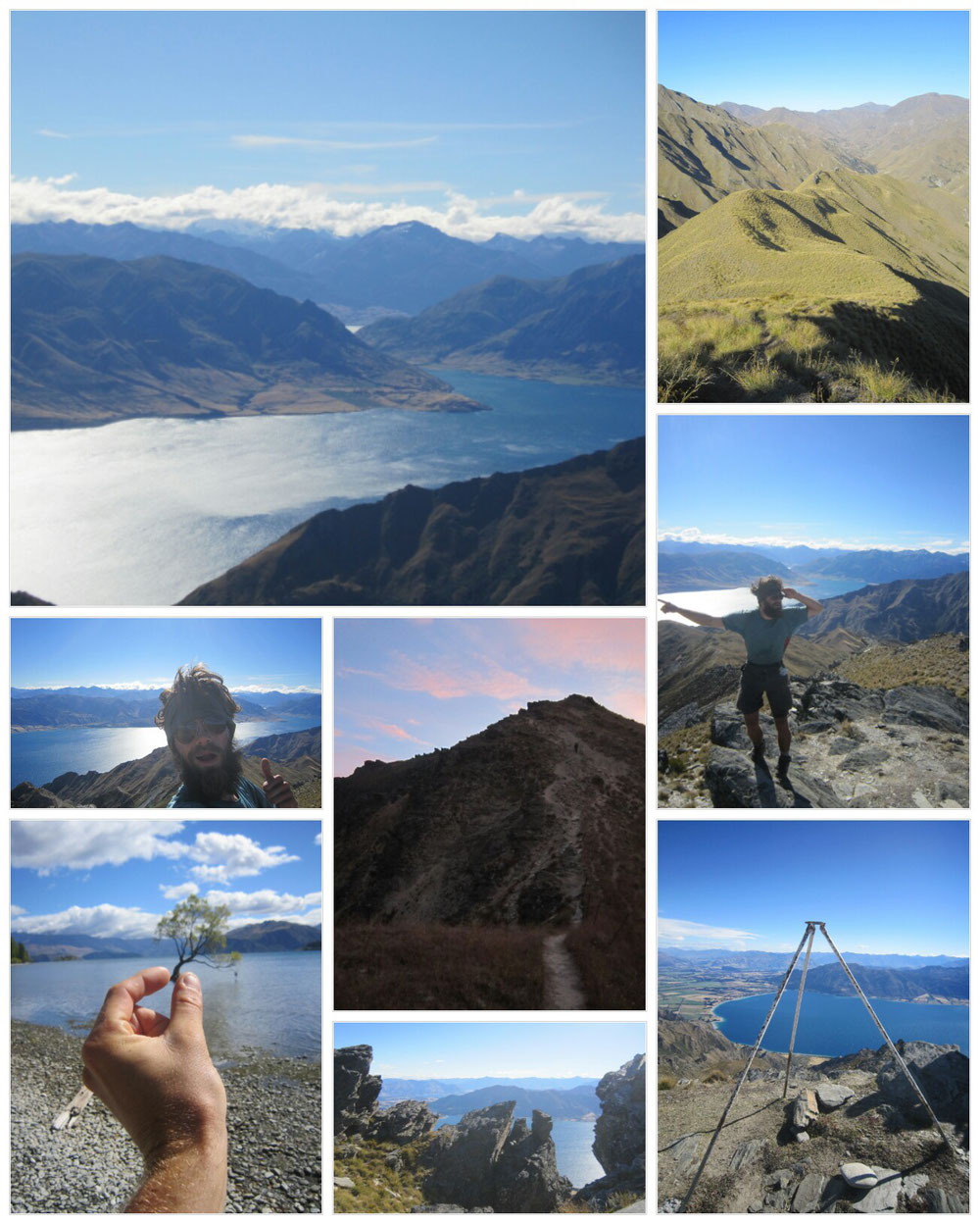 Breasthills und Wanaka-Tree