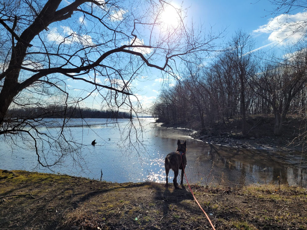 Wasser und Sonne? Ach wie schön doch ...