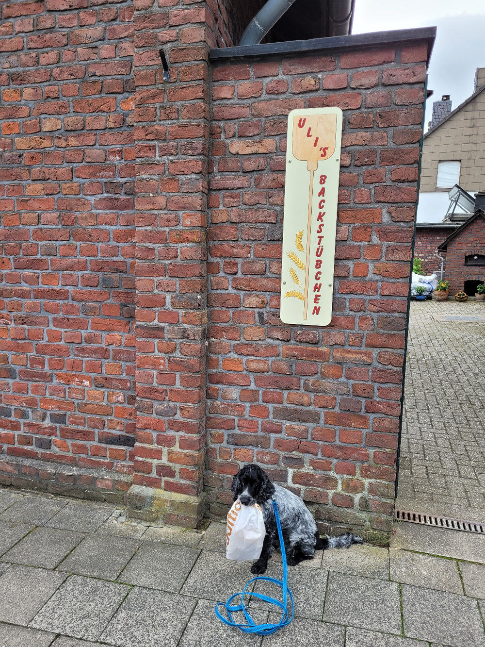 Willkommen bei Uli's Backstube🤣🤣🤣