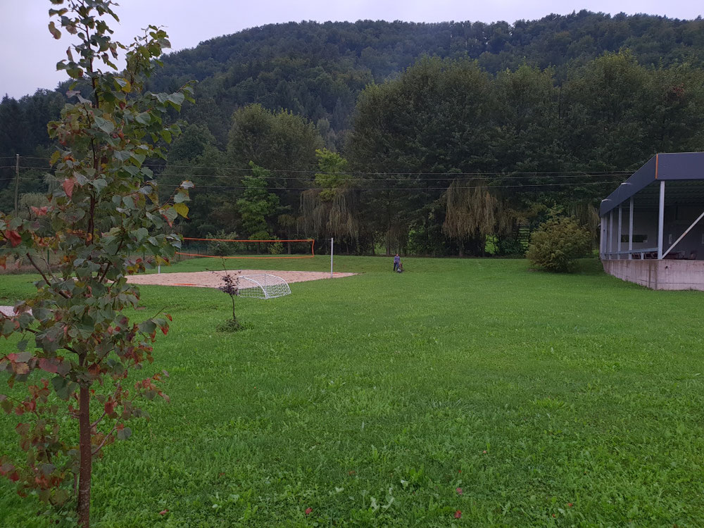 Die Hunde freuts