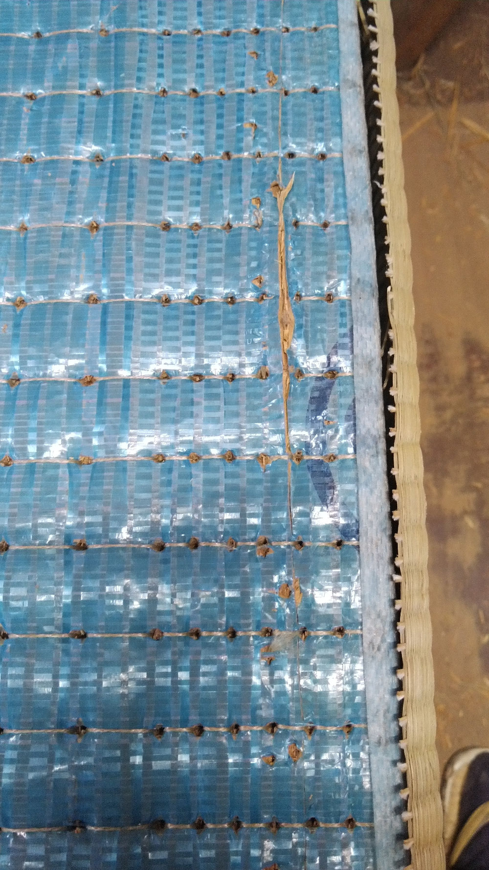 前日の畳店さんが、畳床を切ってしまってました。