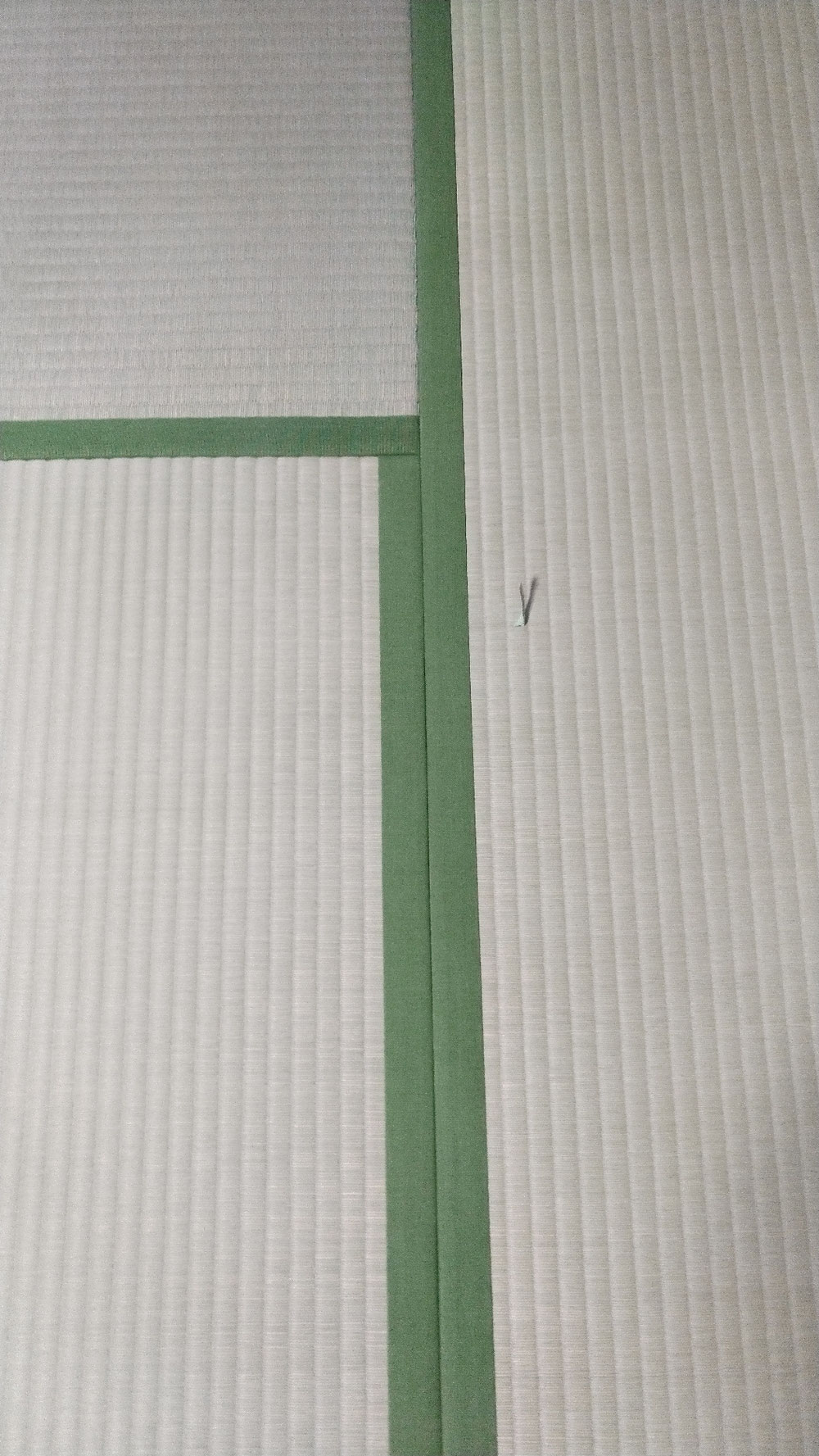 畳縁は、綿縁 うぐいす色を使用しました。