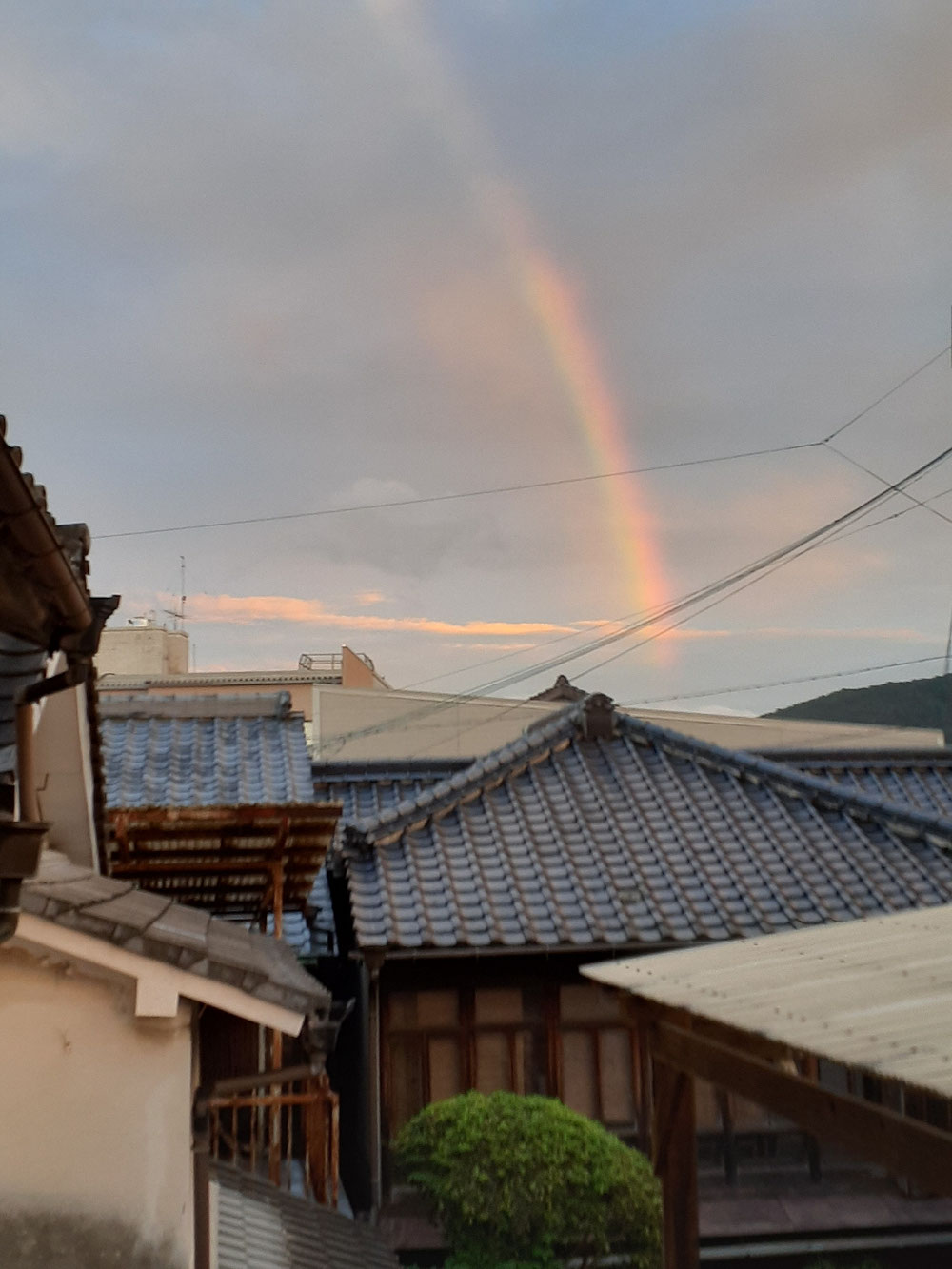 夕方、窓の外をふと見ると虹が出ていました。