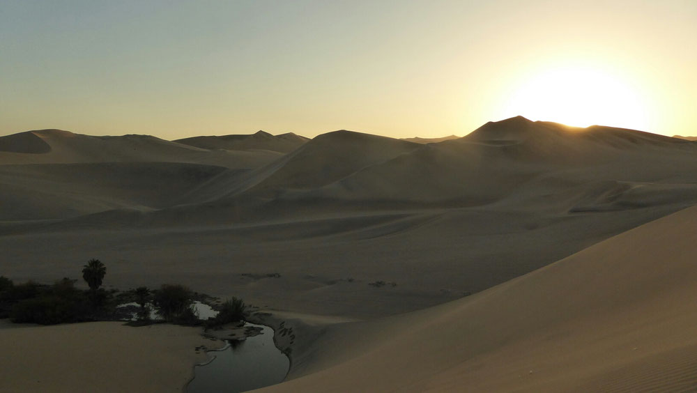 Sonnenuntergang Huacachina