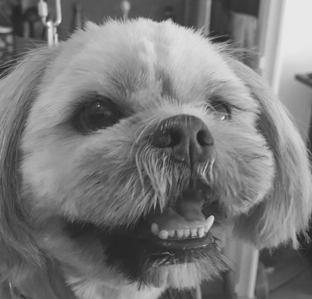Jolie