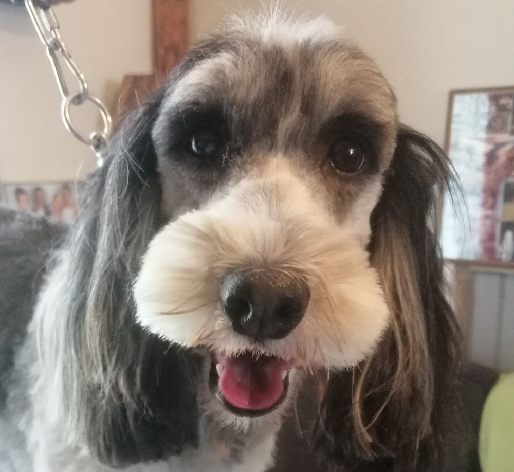 Mollie 💝💖💕♥️👍