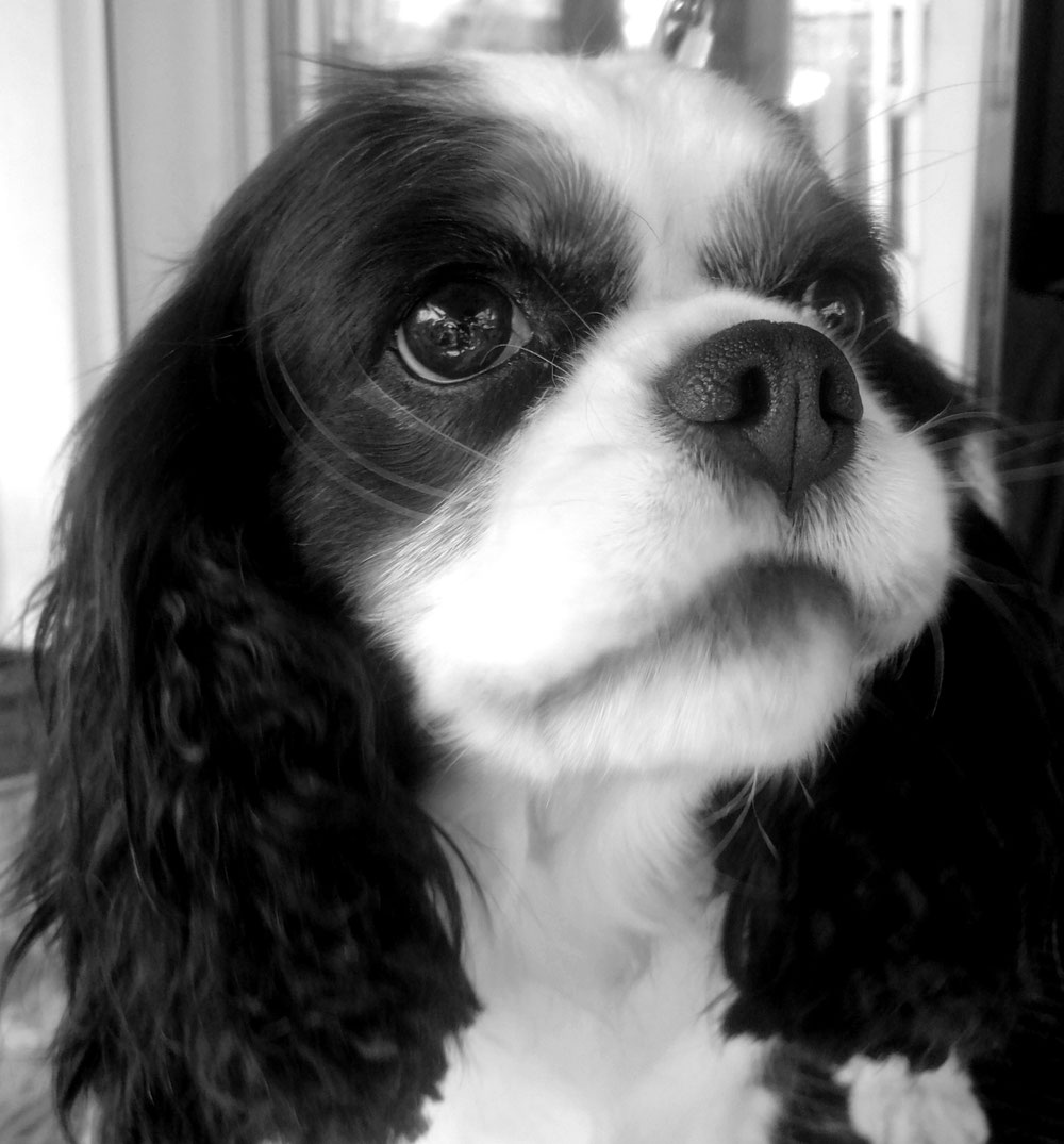 Bouba 💖💖💖... 