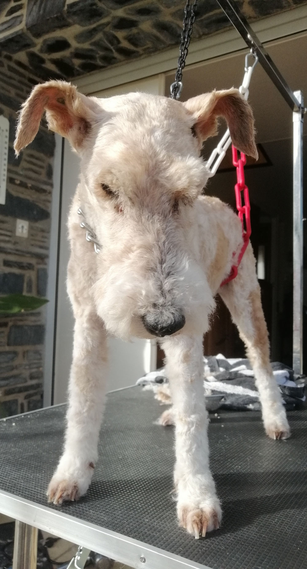 Bonnie, 15 ans 💝