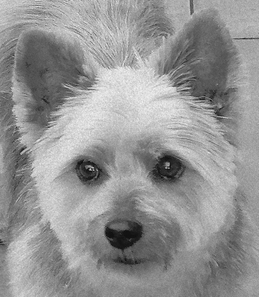 Gordon 💜💜💜