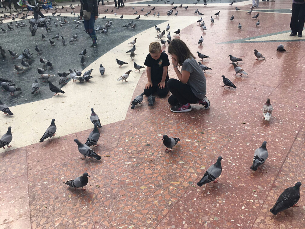 Die Kinder vertrieben sich die Wartezeit mit den Tauben...
