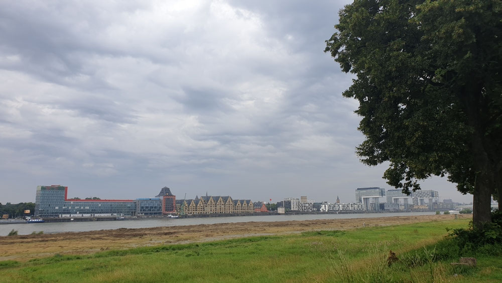 Köln in Sicht