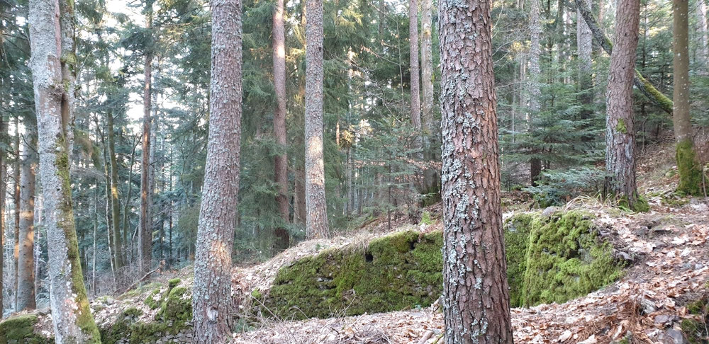 Französische Stellungslinie am Reichackerkopf