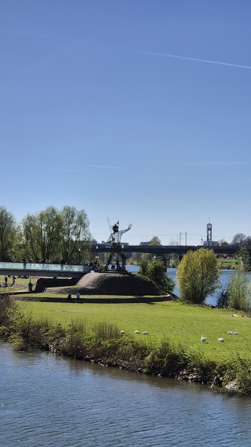 Maas bei Venlo